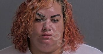 OVERMYER, MELISSA A | 2025-07-14 Sandusky County, Ohio Booking