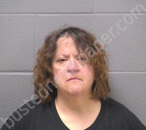 JOHNSON, ERIKA L #, Will County, Illinois - 2025-07-14 02:25:00