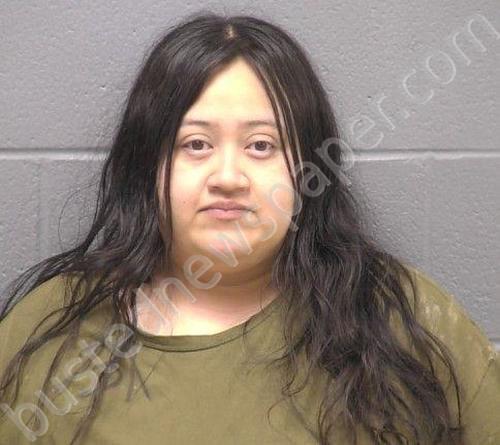 MENDEZ, DAISY #, Will County, Illinois - 2025-07-14 10:08:00