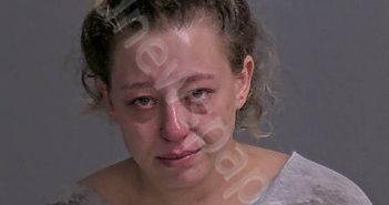 PERKINS, JAMIE L | 2025-07-14 Sandusky County, Ohio Booking