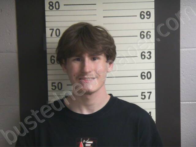 WILLIAMS, AARON K #, Hamblen County, Tennessee - 2025-07-14 13:30:00