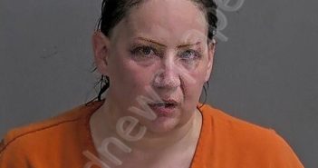LARKINS, TONIA M | 2025-07-14 Sandusky County, Ohio Booking