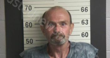 MCGINNIS, ROBERT A | 2025-07-15 22:13:00 Hamblen County, Tennessee Booking
