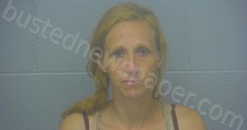 <B>PARSONS</B>, <B>JAMI</B> <B>MAE</B> #, Greene County, Missouri - 2025-07-15 19:08:00