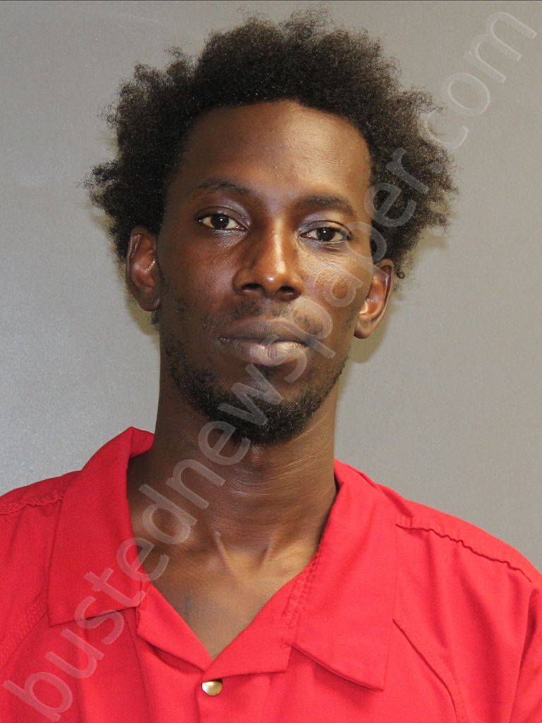 WILLIAMS, LESHUN #, Hinds County, Mississippi - 2025-07-15