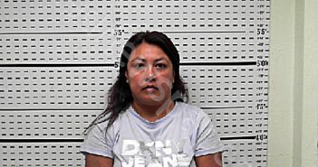 HERNANDEZ, ERIKA PAULINA PEREZ | 2025-07-15 23:00:01 Jim Wells County, Texas Booking