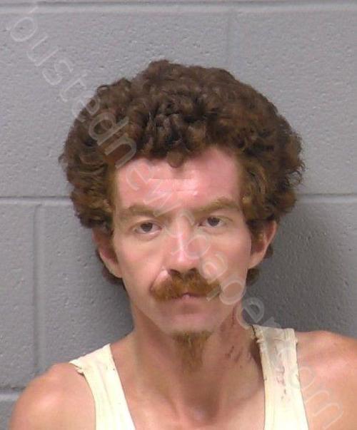 FASE, JOSHUA DAVID LEE #, Will County, Illinois - 2025-07-16 08:48:00