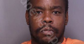 JOHNSON, RICHARD GEORGE | 2025-07-16 15:24:00 Florence County, South Carolina Booking