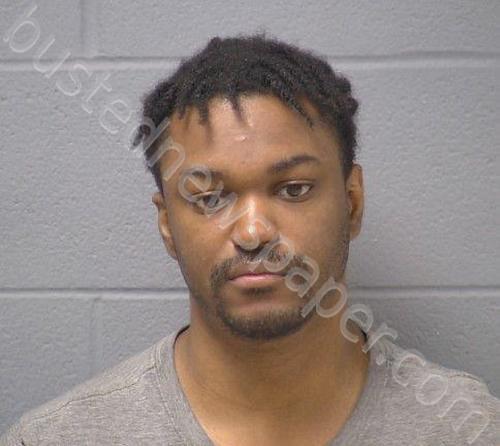 ROBINSON, JEFFREY A #, Will County, Illinois - 2025-07-16 10:54:00