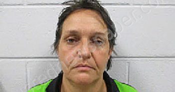 LISA BAKER HICKS | 2025-07-16 14:54:00 Greene County, North Carolina Booking