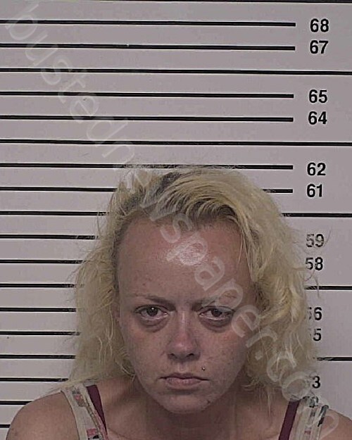 JONES, ELIZABETH MARIE #, Iredell County, North Carolina - 2025-07-17 13:42:00