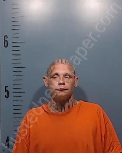 WILLIAMSON, BRIAN ARTHUR, JR. #, Taylor County, Texas - 2025-07-17