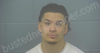 <B>LOPEZ</B> GAMEROS, <B>MANUEL</B> OMAR #, Greene County, Missouri - 2025-07-17 15:38:31