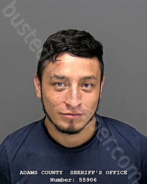 ALVIZURES ROLDAN, MANUEL HERMOGENES #, Adams County, Indiana - 2025-07-17 19:51:22