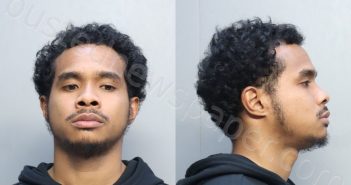 JOHNSON, STAPHVON KURT | 2025-07-18 19:09:00 Miami-Dade County, Florida Booking