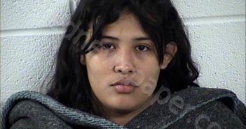 MEJIA-MANCIA, JOHANA MARICELA | 2025-07-18 Chase County, Kansas Booking