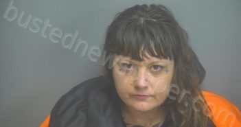 WILSON, WENDY RENEE | 2025-07-18 11:27:00 Amherst County, Virginia Booking