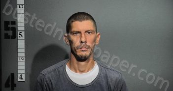 SHANNON, CLAYTON DEAN | 2025-07-18 09:23:00 Western Tidewater, Virginia Booking