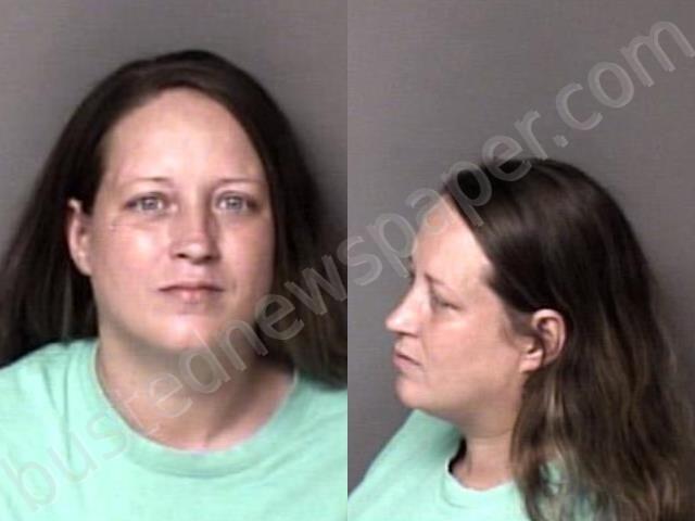 FOSTER, NINA MICHELLE #, Gaston County, North Carolina - 2025-07-18 20:05:00