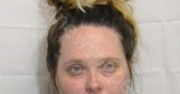 <B>FORD</B>, <B>MAURCIE</B> <B>SHELLE</B> #, Columbus County, North Carolina - 2025-07-19 18:35:00