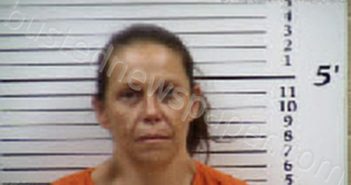 DEISHER, SARA ANN | 2025-07-19 21:31:00 Cherokee County, North Carolina Booking