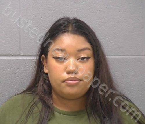 WILLIAMS, LEXA Y #, Will County, Illinois - 2025-07-19 15:28:00