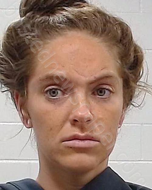 BEDNARZ, RACHEL LAUREN #, Collin County, Texas - 2025-07-19 19:19:00