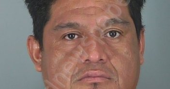 JOSE LUIS GARCIA-HERNANDEZ | 2025-07-20 07:43:30 Spartanburg County, South Carolina Booking