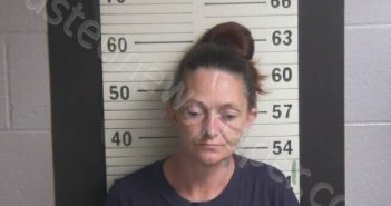 WILLIAMS, ANGELA M | 2025-07-20 01:30:00 Hamblen County, Tennessee Booking