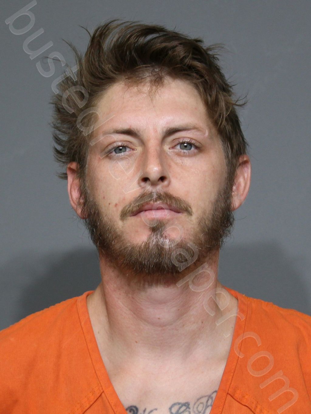 JOHNSON, LARRY ANTHONY #, York County, South Carolina - 2025-07-21 19:44:24