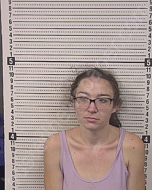 GIBSON, ALICE NMN #, Caldwell County, North Carolina - 2025-07-21 14:59:00