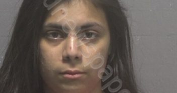 VASQUEZ, LIMARI MATILDE | 2025-07-22 New Hanover County, North Carolina Booking