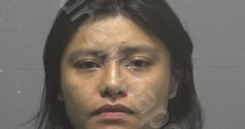 VELAZQUEZ-SOSA, ARIADNE | 2025-07-22 New Hanover County, North Carolina Booking