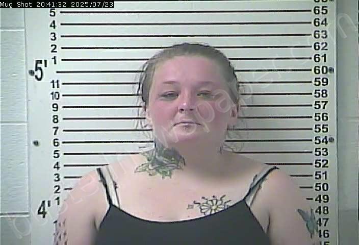 LAWSON, NATALIE BROOKE #, Hardin County, Kentucky - 2025-07-23 21:22:00