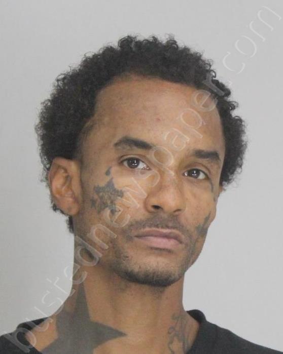 CHANDLER, AUSTIN #, Dallas County, Texas - 2025-07-23 09:39:00