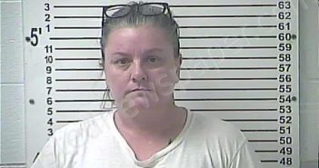 WILSON, ANGELA RENEE | 2025-07-24 11:29:00 Hardin County, Kentucky Booking