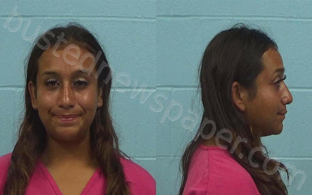 DIAZ, ROSALINDA ISELA #, Williamson County, Texas - 2025-07-24