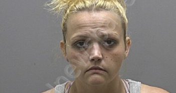 NORRIS, BRIDGET MICHELLE | 2025-07-24 19:34:00 Alamance County, North Carolina Booking