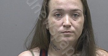 HANDY, BRITTANY MICHELLE | 2025-07-24 16:55:00 Alamance County, North Carolina Booking