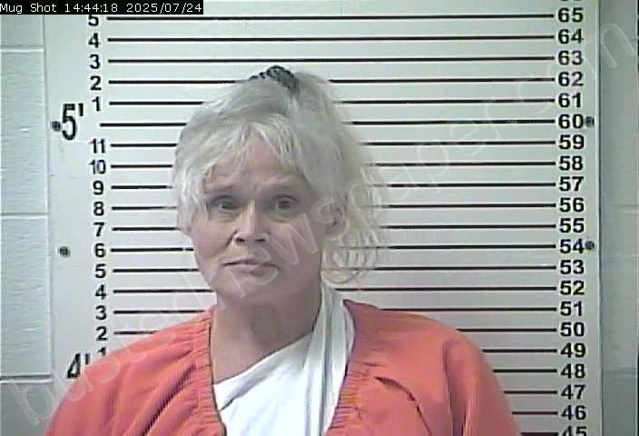 MCCANDLESS, TRACEY JO #, Hardin County, Kentucky - 2025-07-24 14:13:00