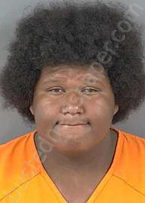 JOYNER,KAZMIR LA BRACCIO #, Collier County, Florida - 2025-07-25