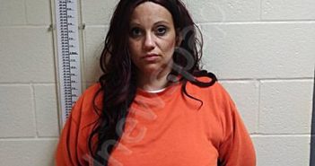 <B>BROWN</B>, MEGAN <B>ASHLEY</B> #, Chenango County, New York - 2025-07-25 04:00:00