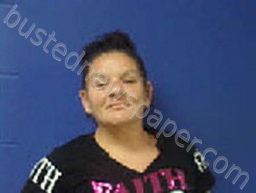 JACOBS, BRANDY NICOLE #, Sampson County, North Carolina - 2025-07-25 19:07:00