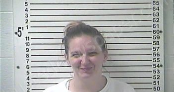 BREWER, BRITTANY DANYALE | 2025-07-25 15:37:00 Hardin County, Kentucky Booking