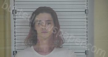 PHELPS, AUSTIN | 2025-07-25 03:13:00 Taylor County, Kentucky Booking