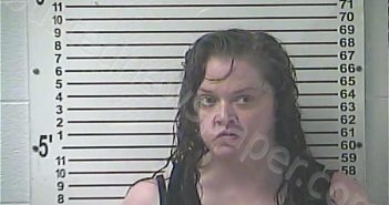 EVERSOLE, AMANDA RENEA | 2025-07-25 16:07:00 Hardin County, Kentucky Booking