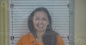 GADDIS, JESSICA | 2025-07-26 19:05:00 Taylor County, Kentucky Booking