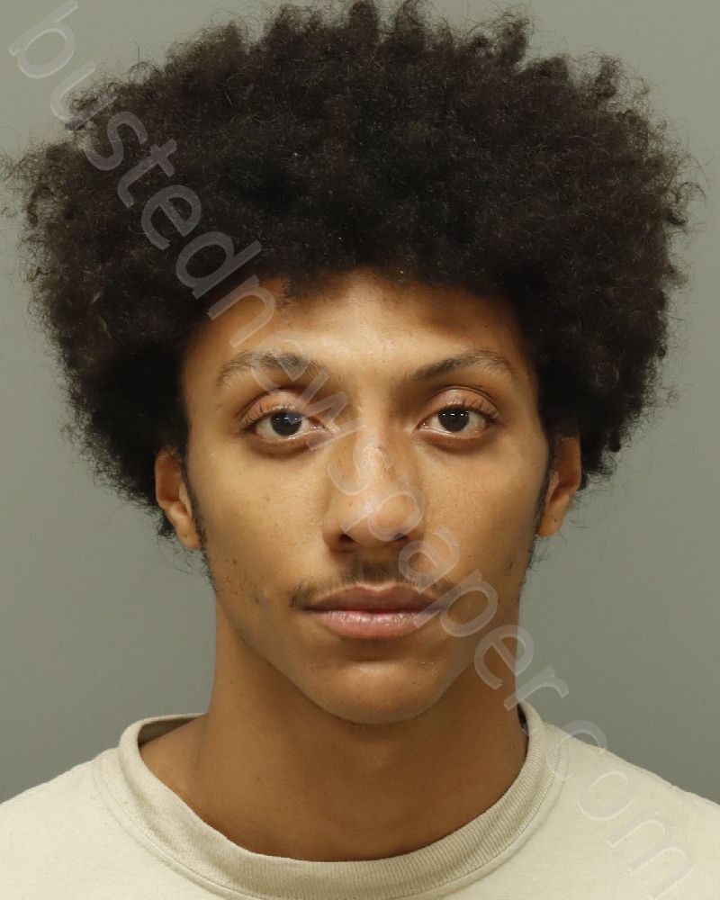 SAVAGE, MICHOLAS CAMERON #, Wake County, North Carolina - 2025-07-26 01:45:00