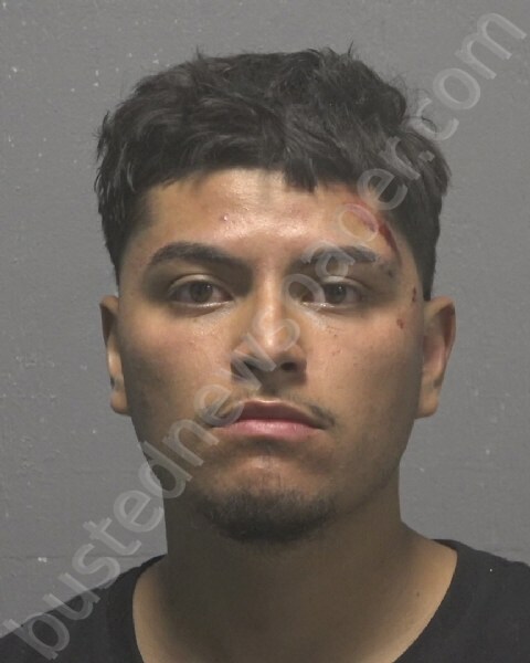 MOJICA, ALEXIS ELI #, New Hanover County, North Carolina - 2025-07-26