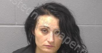 APIQUIAN, NICOLE M | 2025-07-27 13:28:00 Will County, Illinois Booking